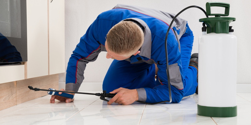 Home Pest Inspection Winston Salem Nc Brown Pest Control